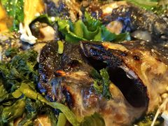 -鱼酷活鱼烤鱼(中联广场店)