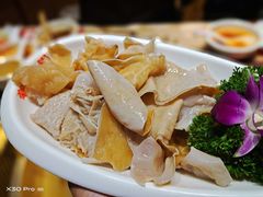 猪肚菌-豪渝火锅(红谷滩万达店)