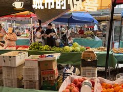 -天通西苑三区