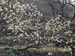 -福建天门山