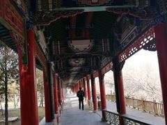 -兰山公园