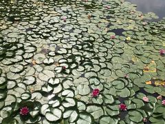 -太湖湖滨国家湿地公园-停车场