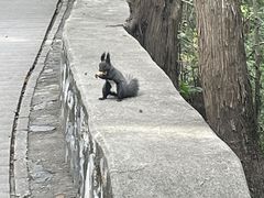 -香山公园