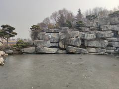 -中国唐苑