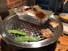 -火烈鸟