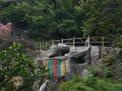 -南丹山森林王国