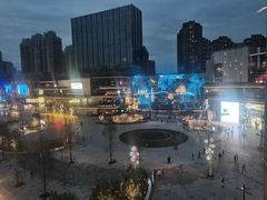 -花潮料理艺食馆(成都万象城店)