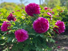 -江南大学-第一食堂(江南苑)