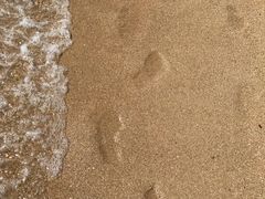 -西涌国际滨海旅游区