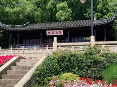 -苏州上方山国家森林公园