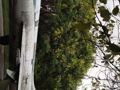 景点-紫薇公园