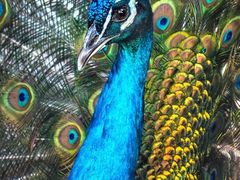 -福建鲤鱼洲酒店