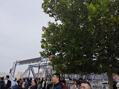-世纪钟