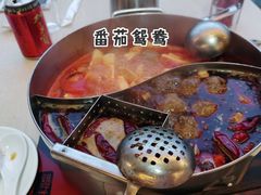 -野妹火锅(龙岗店)