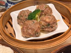陈皮香茜牛肉丸-虾饺妹·酒家(金碧店)