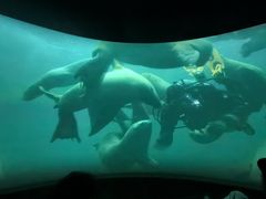 -珠海横琴国家地理探险家中心(创新方)