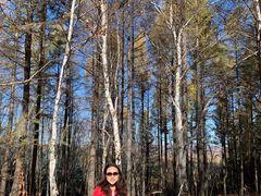 -塞罕坝国家级自然保护区