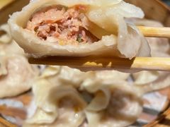 新兴园招牌风味蒸饺-新兴园饺子馆(河南街店)