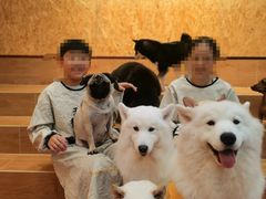 -和它·交个朋友·狗咖猫咖(爱琴海店)