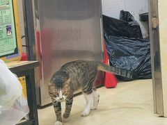 -玉椰林甜品店(创始店)