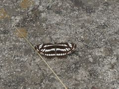 -碓臼峪自然风景区