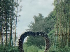 -桤木河湿地公园