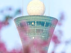 -狐尾山公园