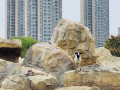 -武汉动物园