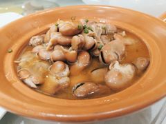 鸡汁发芽豆-骏莱海鲜鱼港(五角场店)