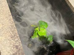 -红蜡烛-养生粥-津鲁菜(中山路店)