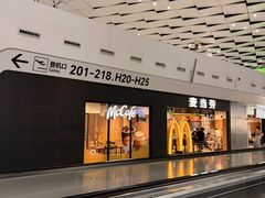 -郑州新郑国际机场-T2航站楼