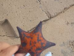 -星海广场