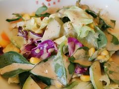 蔬菜沙拉-万宝海鲜舫(劳动公园店)