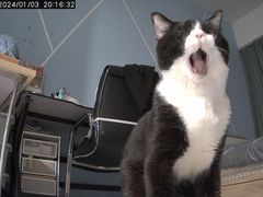 -Juicy Bakery(瑞景店)