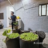 发掘隐藏在容桂你没吃过的火锅