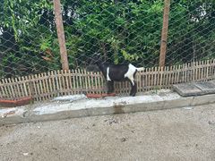 -台山颐和温泉城