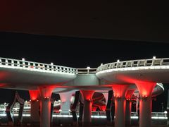 -演武大桥观景平台