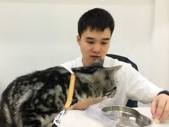 -贝利宠物医院·骨科·眼科·肿瘤转诊中心(南坪诊疗中心)