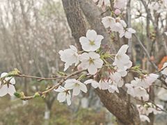 -太阳宫公园
