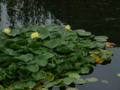 -贵阳市花溪国家城市湿地公园