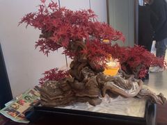 -顺峰(农展馆店)