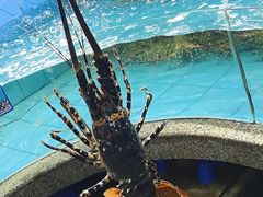-达叔香味海鲜(海棠68环球美食街店)