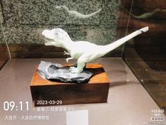 -大连自然博物馆