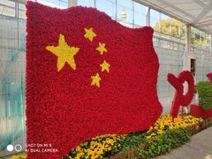 -上海鲜花港