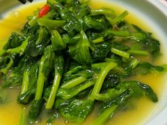 豌豆尖-惠丰堂饭庄·烤鸭·京味菜(民族大学店)