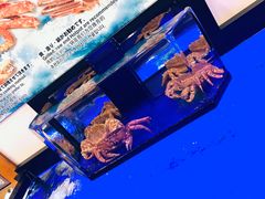 -蟹道乐(道顿堀本店)