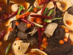 -常州环球恐龙城维景国际大酒店