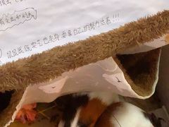 -北京清河万象汇