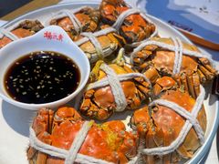 -杨氏青龙虾·羊蝎子(金盛路总店)