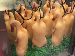 -花家怡园HUA'S RESTAURANT(崇文门·哈德门广场店)